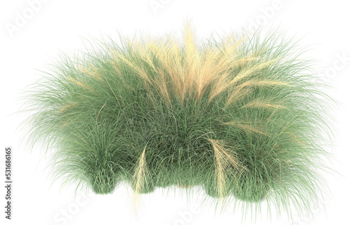 Grass on transparent background. 3d rendering - illustration © Cristian