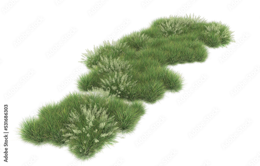 Grass on transparent background. 3d rendering - illustration Grass on transparent background. 3d rendering - illustration