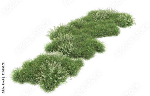 Grass on transparent background. 3d rendering - illustration