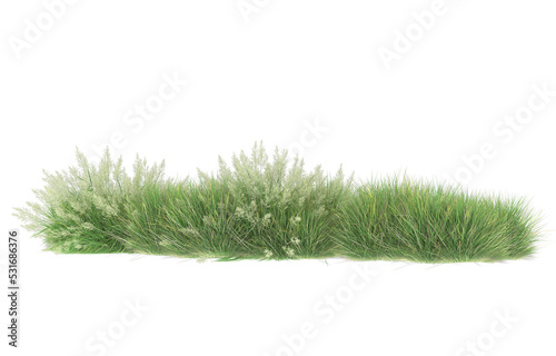 Grass on transparent background. 3d rendering - illustration