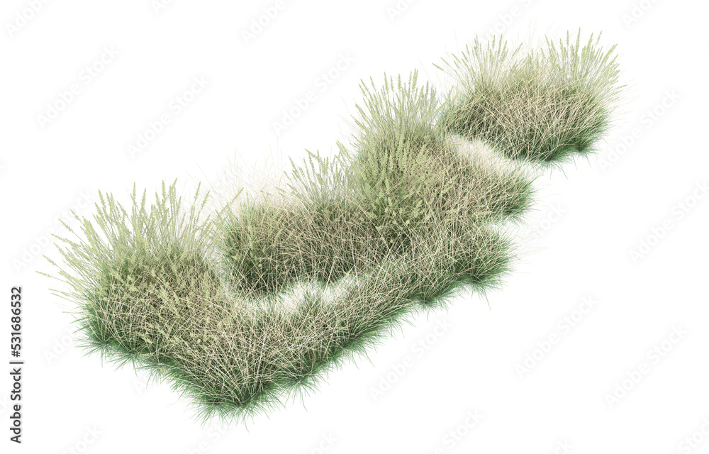 Grass on transparent background. 3d rendering - illustration Grass on transparent background. 3d rendering - illustration