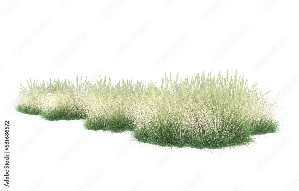 Grass on transparent background. 3d rendering - illustration Grass on transparent background. 3d rendering - illustration