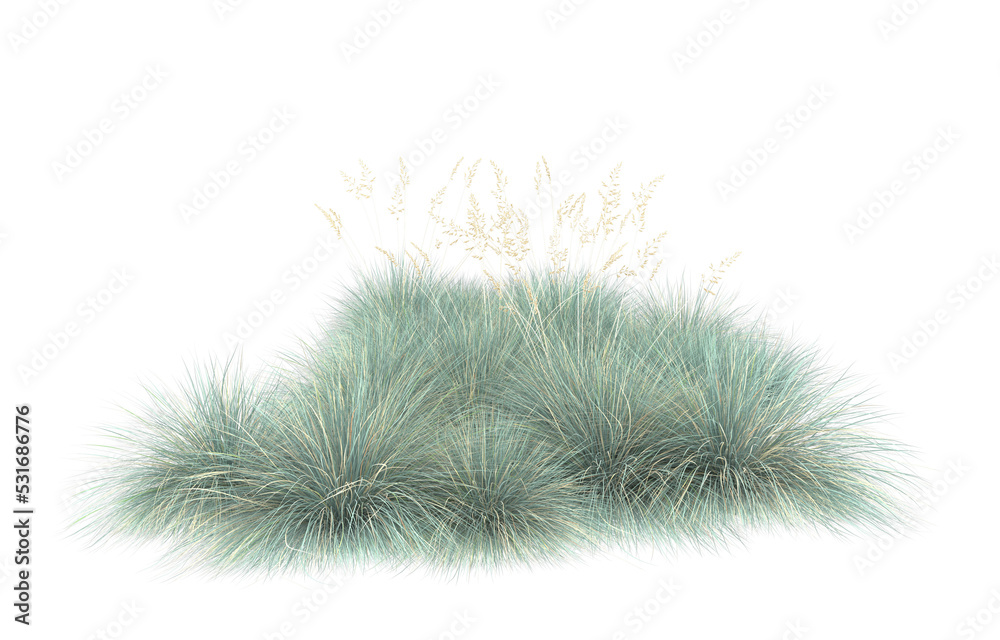 Grass on transparent background. 3d rendering - illustration Grass on transparent background. 3d rendering - illustration