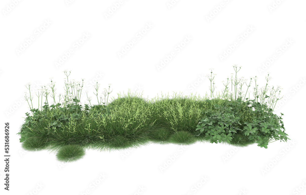 Grass on transparent background. 3d rendering - illustration Grass on transparent background. 3d rendering - illustration