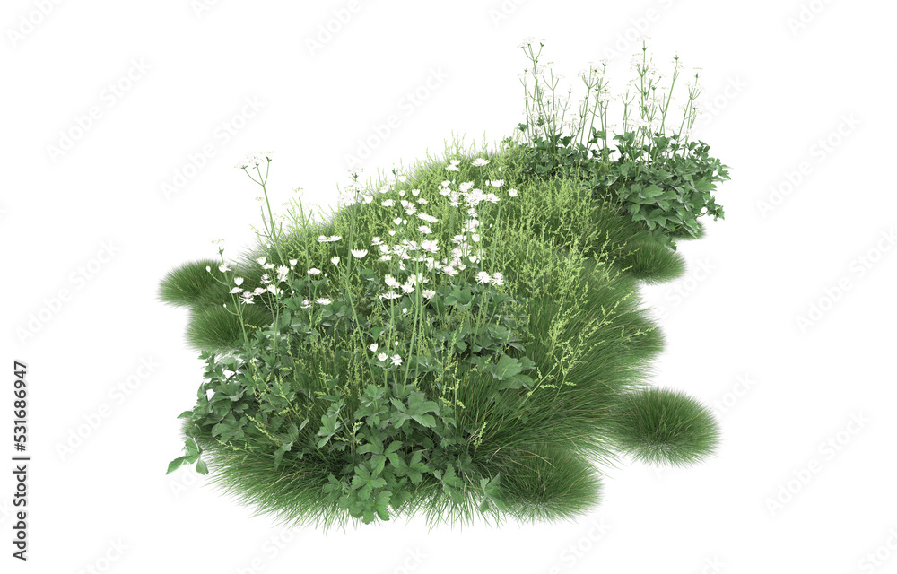 Fototapeta premium Grass on transparent background. 3d rendering - illustration