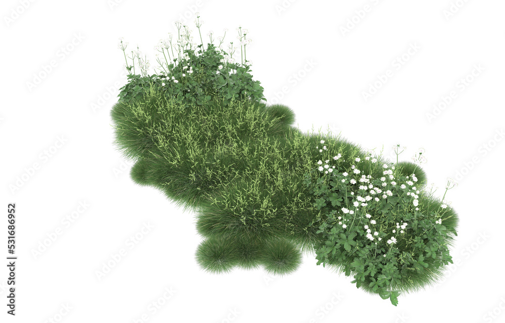 Grass on transparent background. 3d rendering - illustration Grass on transparent background. 3d rendering - illustration
