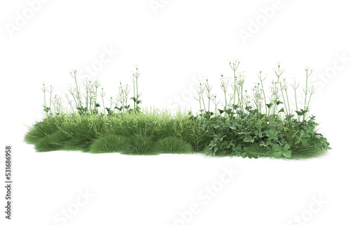 Grass on transparent background. 3d rendering - illustration photo