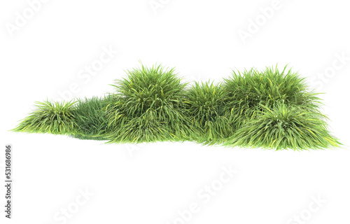 Grass on transparent background. 3d rendering - illustration