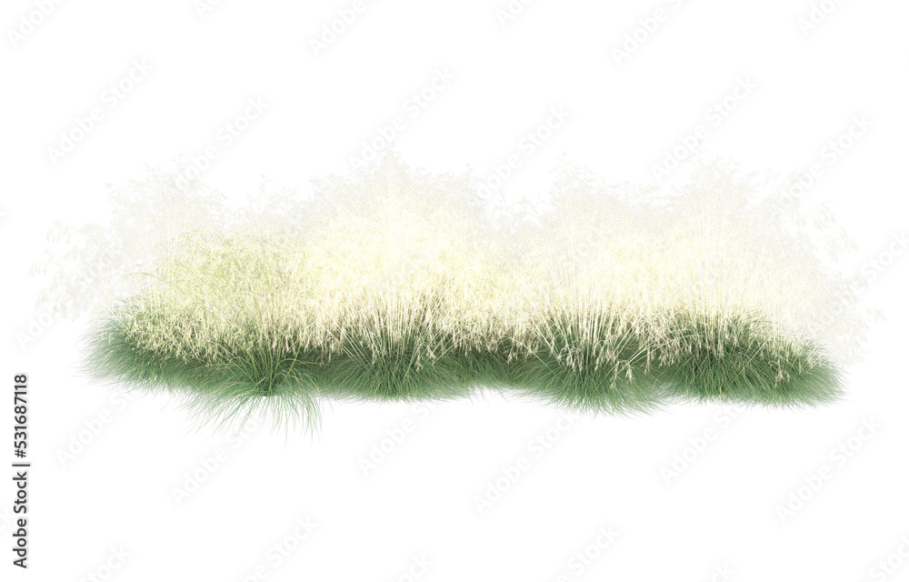 Grass on transparent background. 3d rendering - illustration Grass on transparent background. 3d rendering - illustration