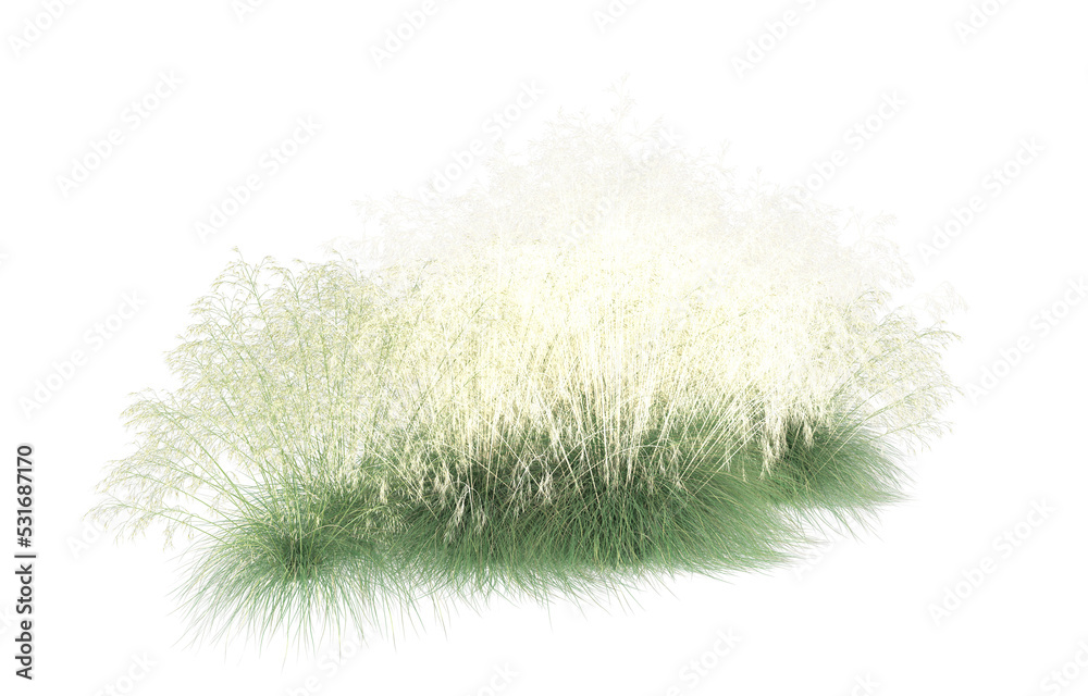 Grass on transparent background. 3d rendering - illustration Grass on transparent background. 3d rendering - illustration
