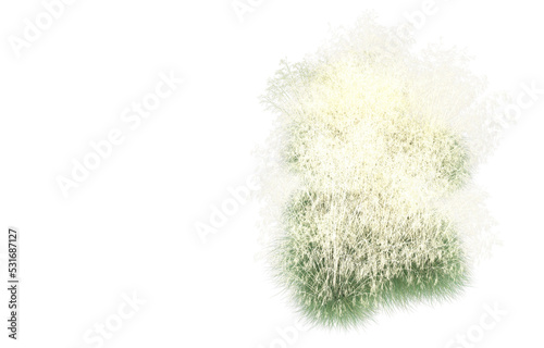 Grass on transparent background. 3d rendering - illustration