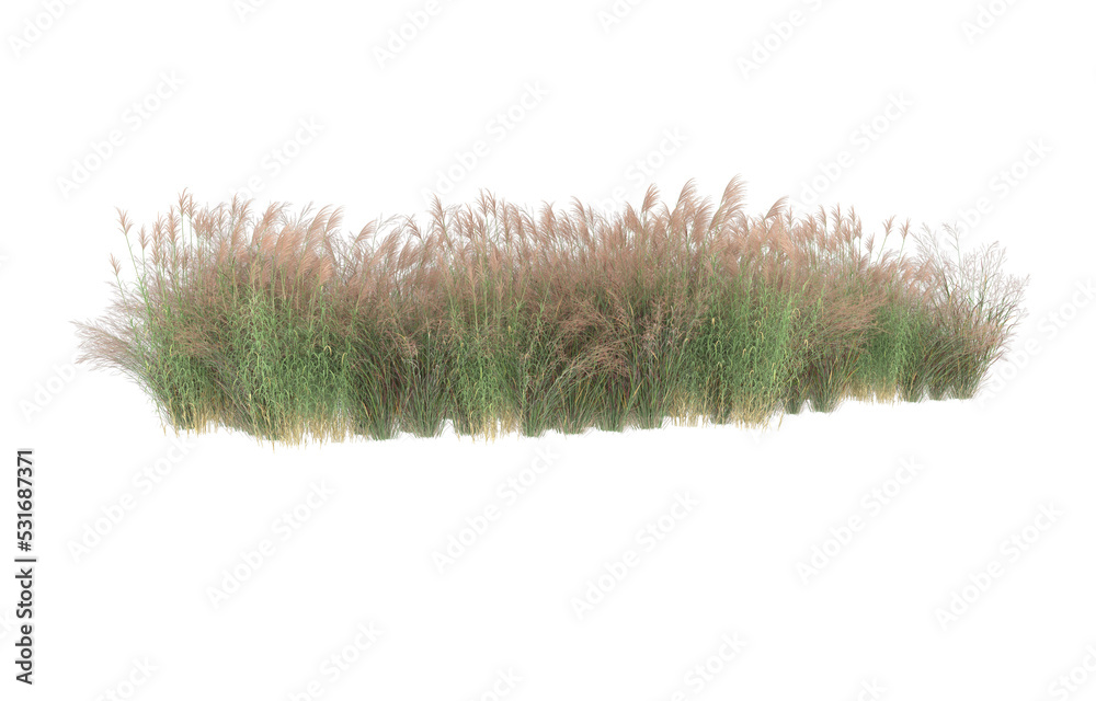 Grass on transparent background. 3d rendering - illustration