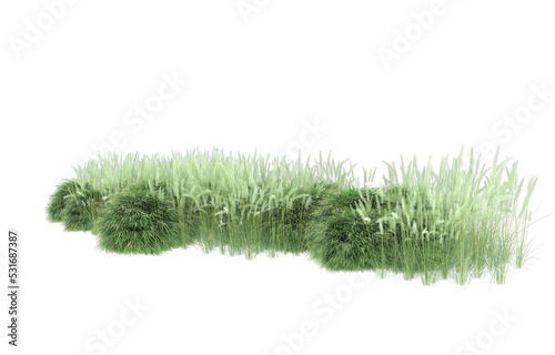 Grass on transparent background. 3d rendering - illustration