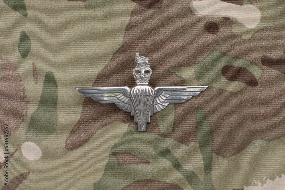 Obraz premium parachute regiment badge
