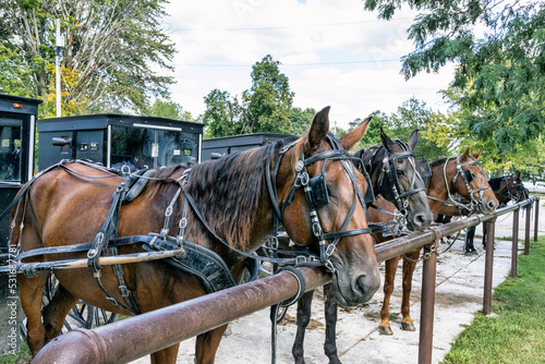 Amish horses hitched to rail.
