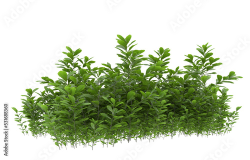 Grass on transparent background. 3d rendering - illustration