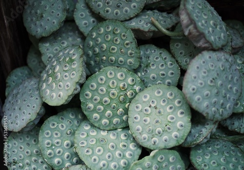close up of lotus seeds 