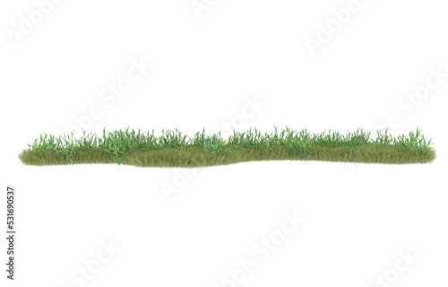 Grass on transparent background. 3d rendering - illustration
