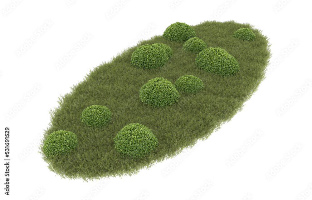 Fototapeta premium Grass on transparent background. 3d rendering - illustration