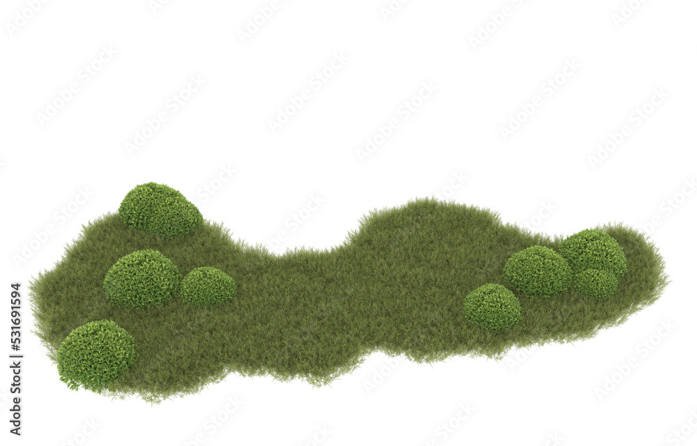 Fototapeta premium Grass on transparent background. 3d rendering - illustration