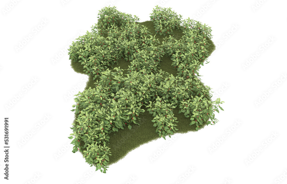 Grass on transparent background. 3d rendering - illustration Grass on transparent background. 3d rendering - illustration