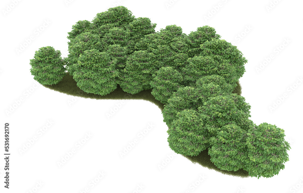 Grass on transparent background. 3d rendering - illustration Grass on transparent background. 3d rendering - illustration