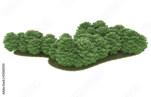 Grass on transparent background. 3d rendering - illustration