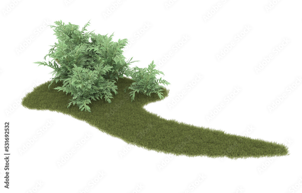 Fototapeta premium Grass on transparent background. 3d rendering - illustration