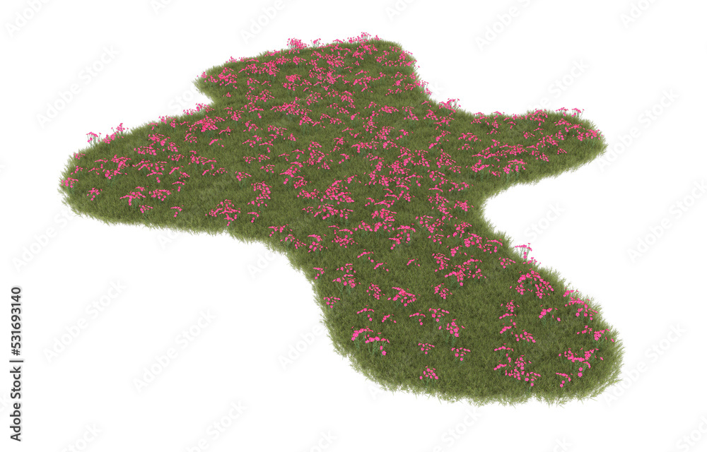 Fototapeta premium Grass on transparent background. 3d rendering - illustration