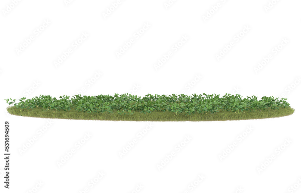 Grass on transparent background. 3d rendering - illustration Grass on transparent background. 3d rendering - illustration