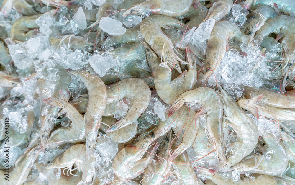 Fresh white shrimps on crushed ice for sale in market. Raw prawns for cooking in seafood restaurant. Sea food industry. Shellfish animal. Shrimp market. Uncooked prawn. Shrimp for frozen food factory. Fresh white shrimps on crushed ice for sale in market. Raw prawns for cooking in seafood restaurant. Sea food industry. Shellfish animal. Shrimp market. Uncooked prawn. Shrimp for frozen food factory.