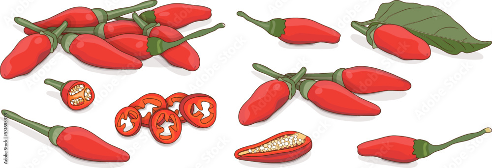 Peri Icon Vecteur Stock Set of Peri peri chili peppers. Piri Piri. Piripiri. Pili ...