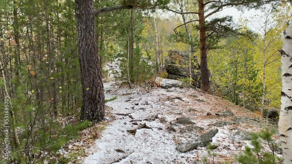 Camera movement in the autumn forest. Snow falls on autumn trees in the mountains. The first autumn snow. Camera movement in the autumn forest. Snow falls on autumn trees in the mountains. The first autumn snow.