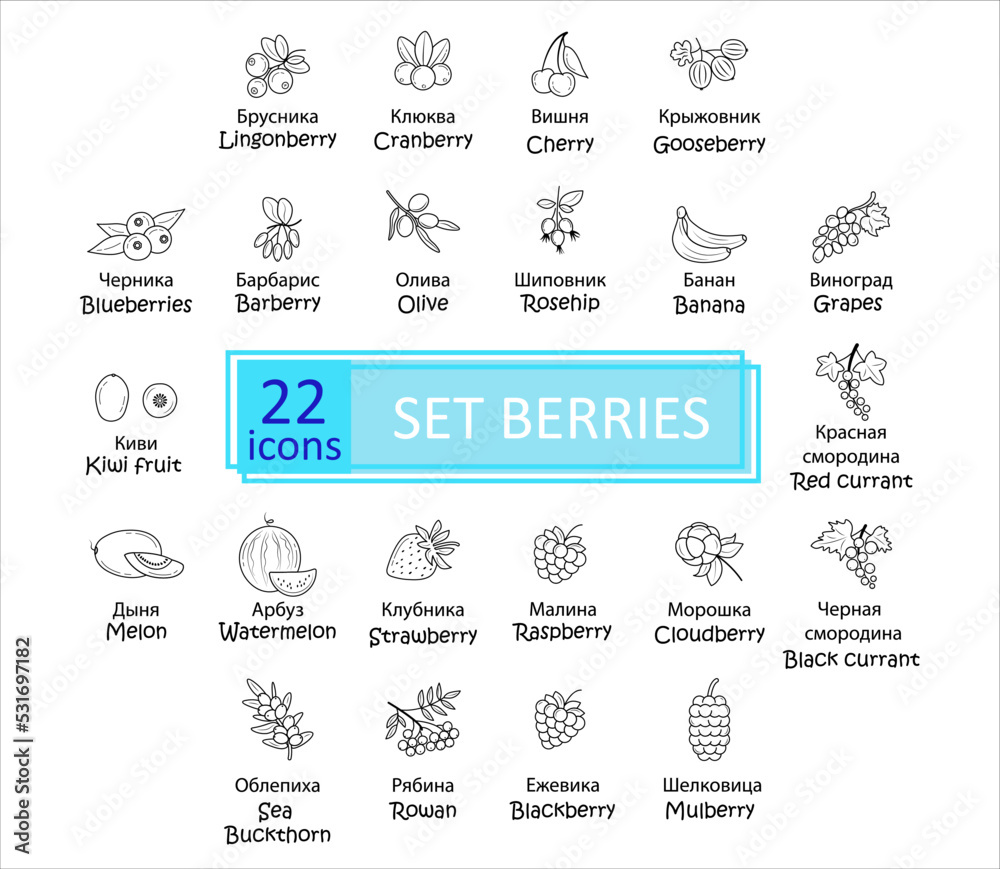 Berries icon set. Simple concise images of berries with names in Russian and English. Collection of icons in outlines. Vegetarianism. Vector, eps