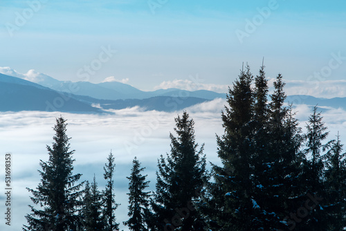 landscape view of winter carpathian mountains