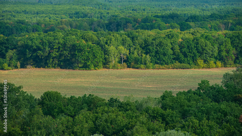 Agricultural field among deciduous forest.