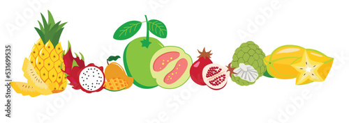 Fototapeta Naklejka Na Ścianę i Meble -  Tropical Fruits illustration 