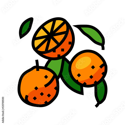 ripe orange cut leaf color icon vector. ripe orange cut leaf sign. isolated symbol illustration