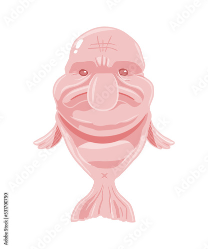 sad fish - ugly fish - blobfish 