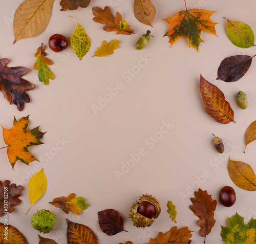 Autumn background with dry leaves.