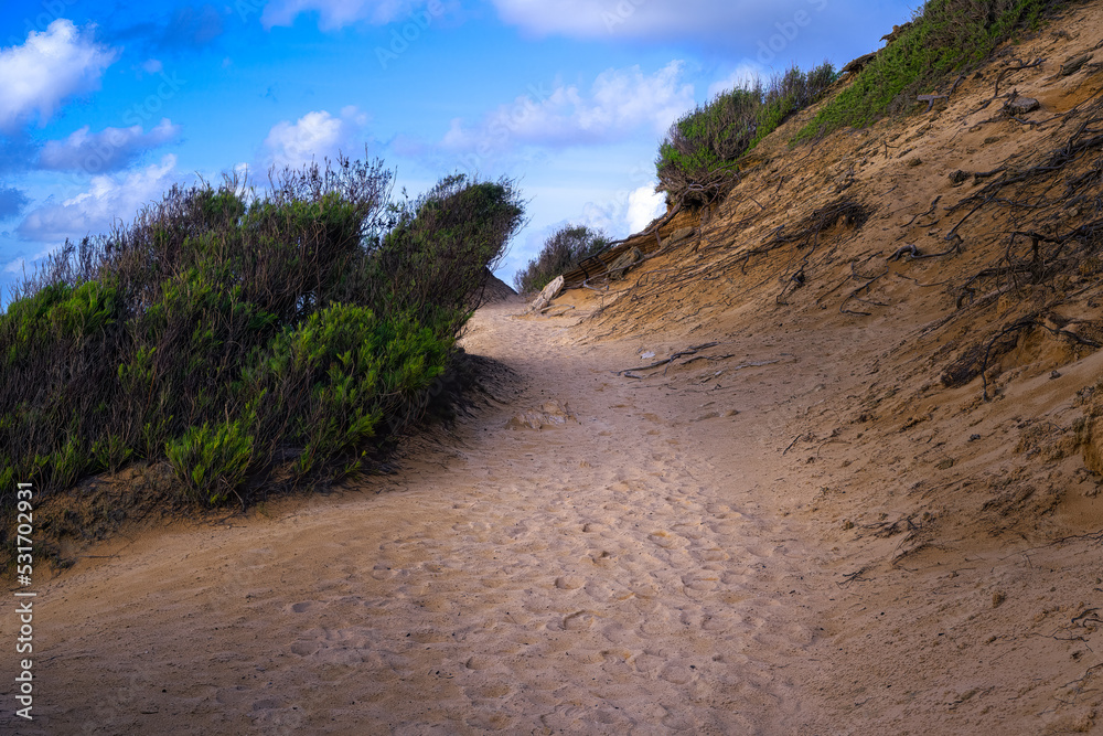 2022-09-19 A SANDY HIKING TRAIL NEAR POIPU BEACH ON THE ISLAND OF KAUAI HAWAII WITH A NICE BLUE SKY AND LIGHT CLOUDS 2022-09-19 A SANDY HIKING TRAIL NEAR POIPU BEACH ON THE ISLAND OF KAUAI HAWAII WITH A NICE BLUE SKY AND LIGHT CLOUDS