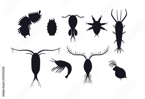 Zooplankton black silhouettes set, flat vector illustration isolated on white background. photo