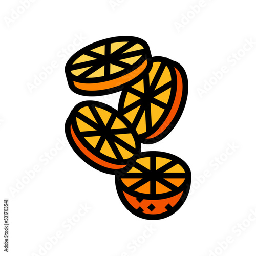 orange slice round fall color icon vector. orange slice round fall sign. isolated symbol illustration