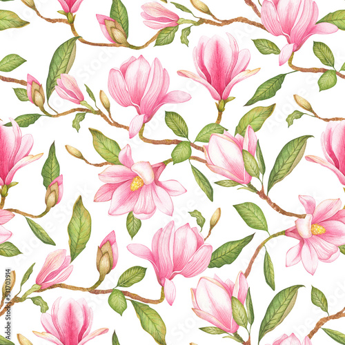 Watercolor illustration of a with flowers pink Magnolias. Pattern on isolated white background for your design, wrapping paper etc