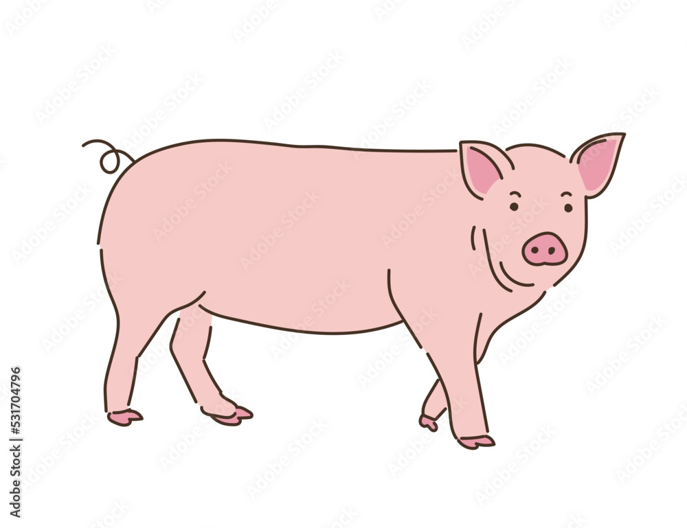 動物 畜産 豚 動物 畜産 豚