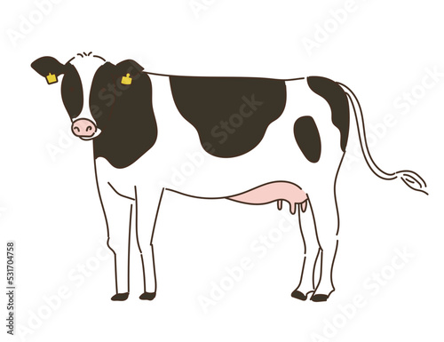動物　畜産　乳牛