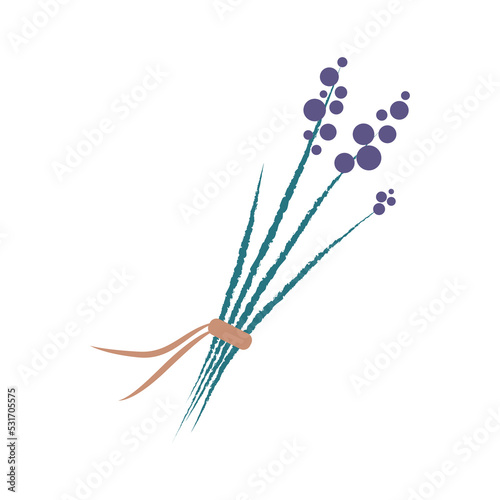 A bundle of lavender on a white background