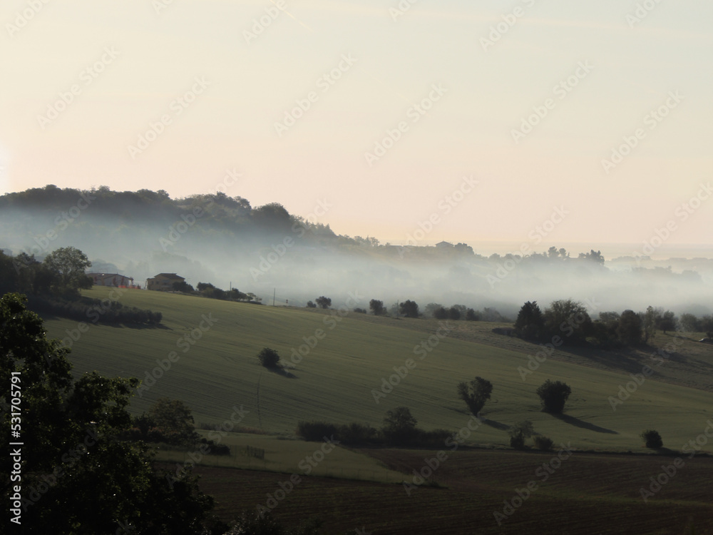 misty morning in the mountains