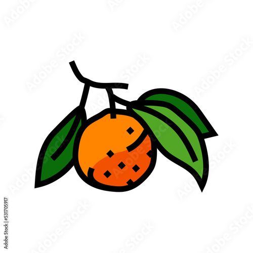 orange branch leaf color icon vector. orange branch leaf sign. isolated symbol illustration