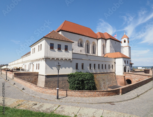 Spielberg castle in Brno photo